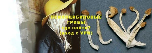 PSILOCYBIN Баксан