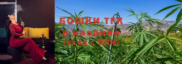 PSILOCYBIN Баксан
